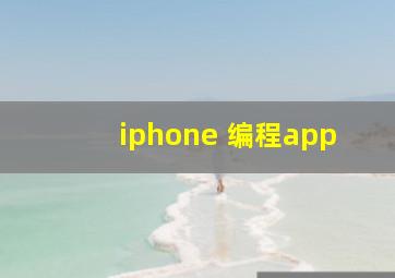 iphone 编程app